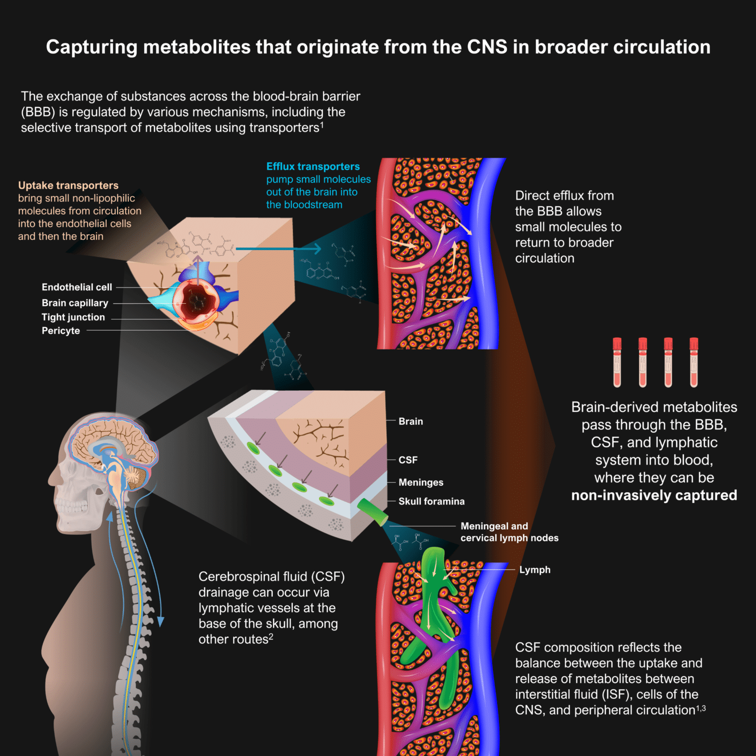 CNS metabolite biomarkers in blood