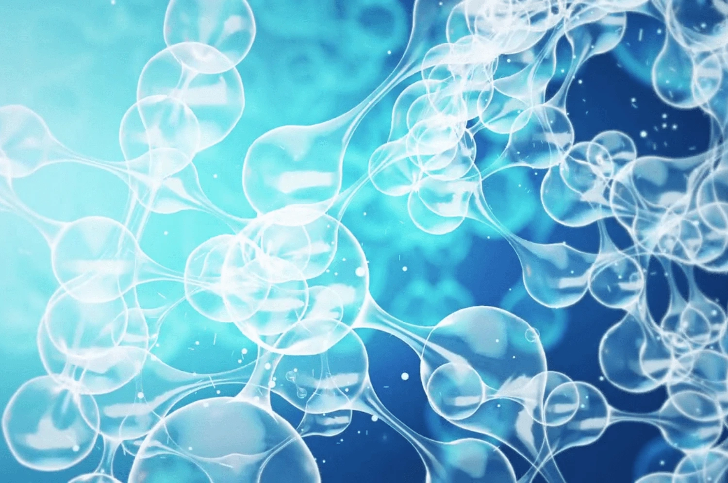 biocomputational approaches for biomarker discovery