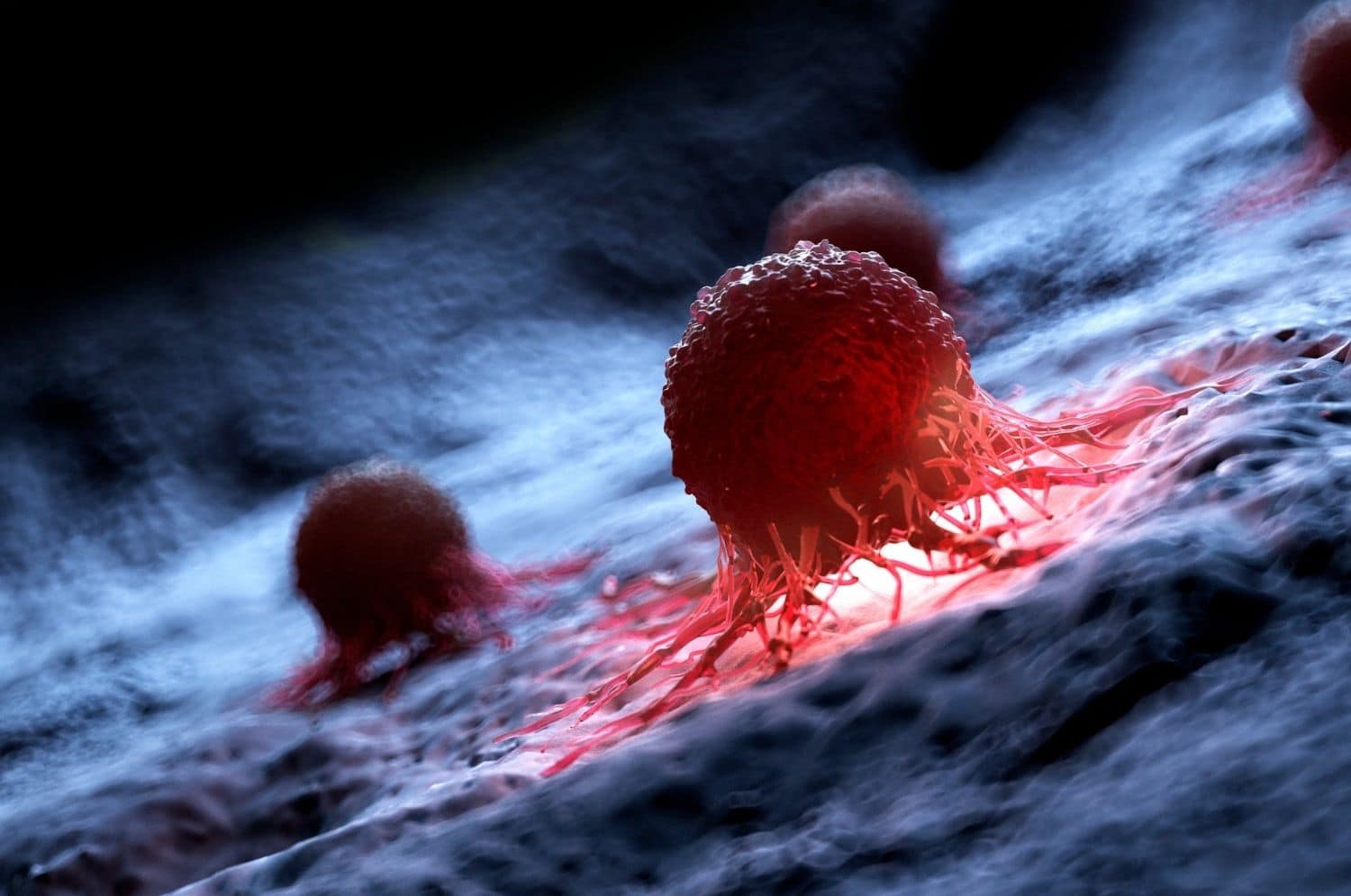 immunotherapy biomarkers to predict autoimmunity