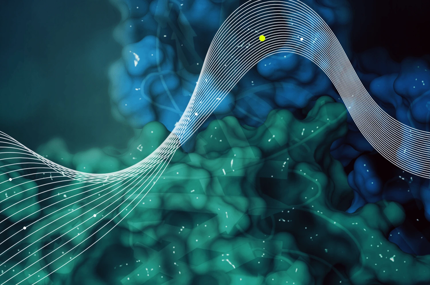 pd-1 biomarker target engagement of PD-1 pathway