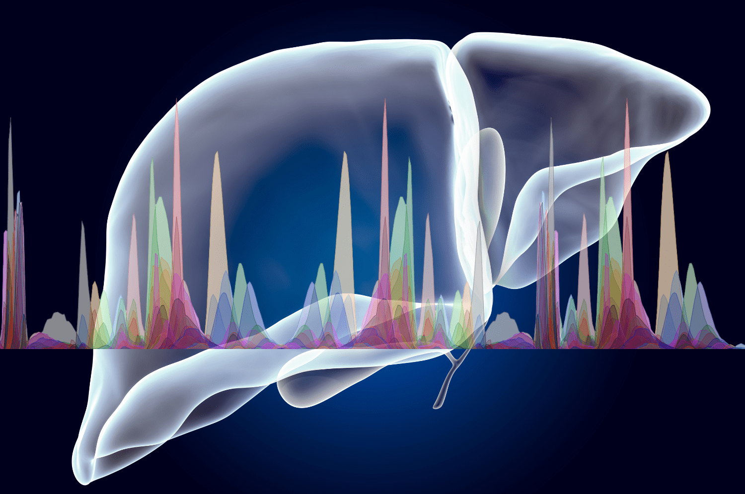 human metabolism study