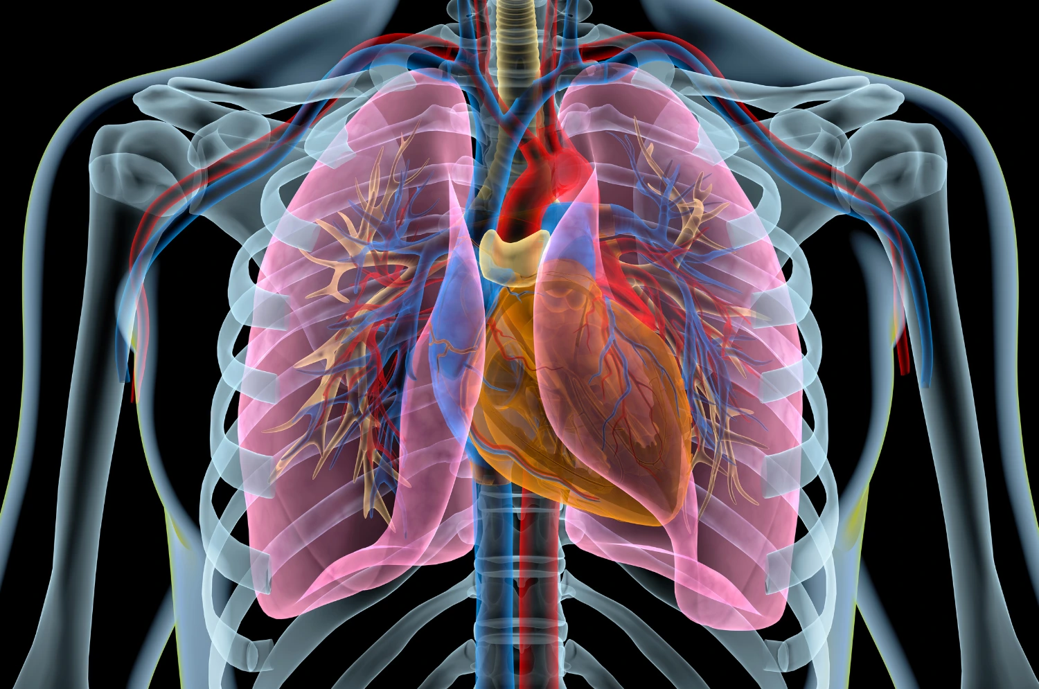 metabolite analysis pah biomarker