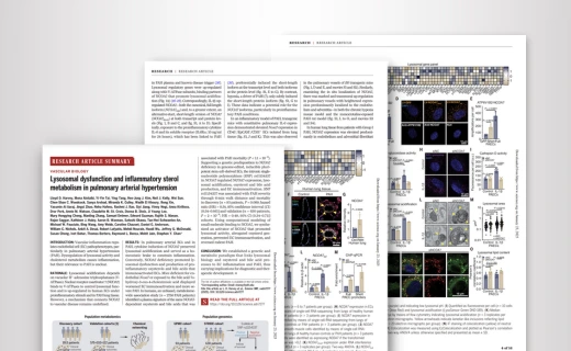 science paper pulmonary arterial hypertension