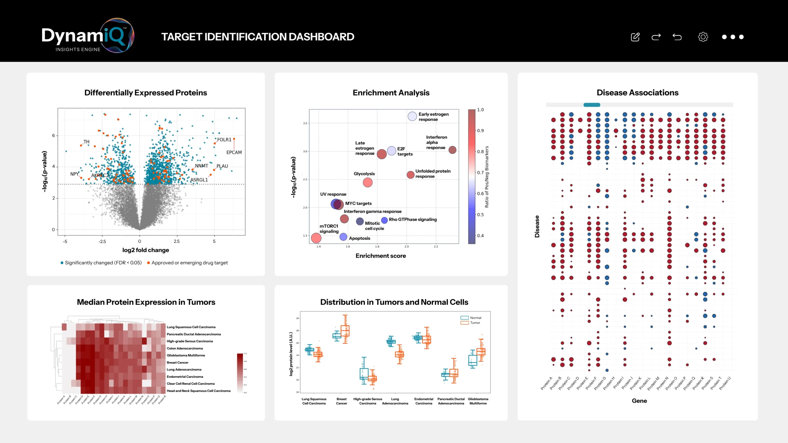 dynamiq target identification