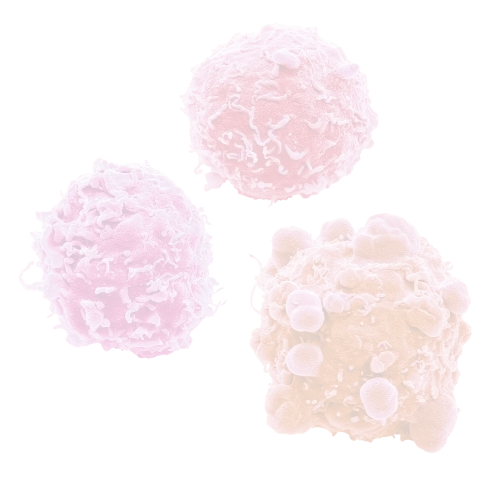 multi-omics services for oncology