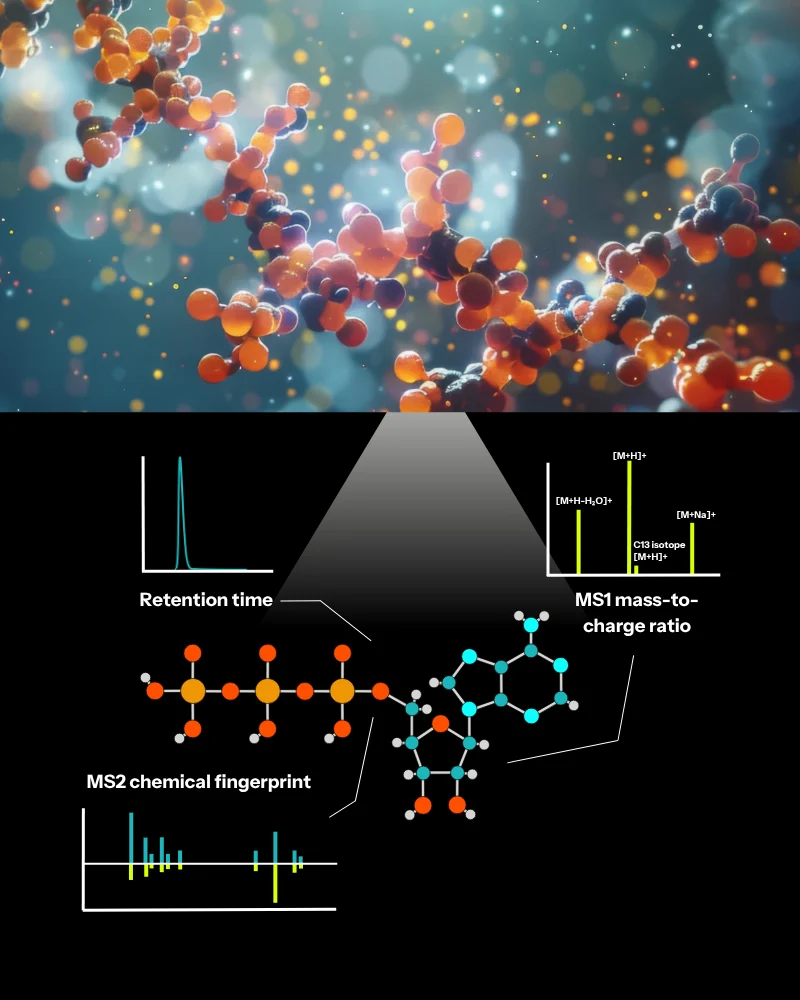 tier 1 metabolite ID