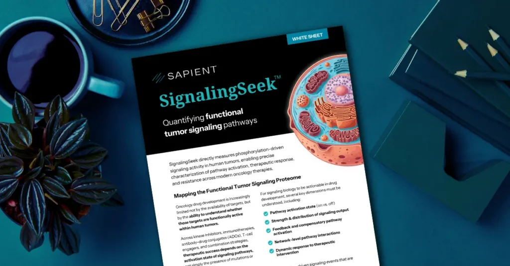 phosphoproteomics analysis signalingseek