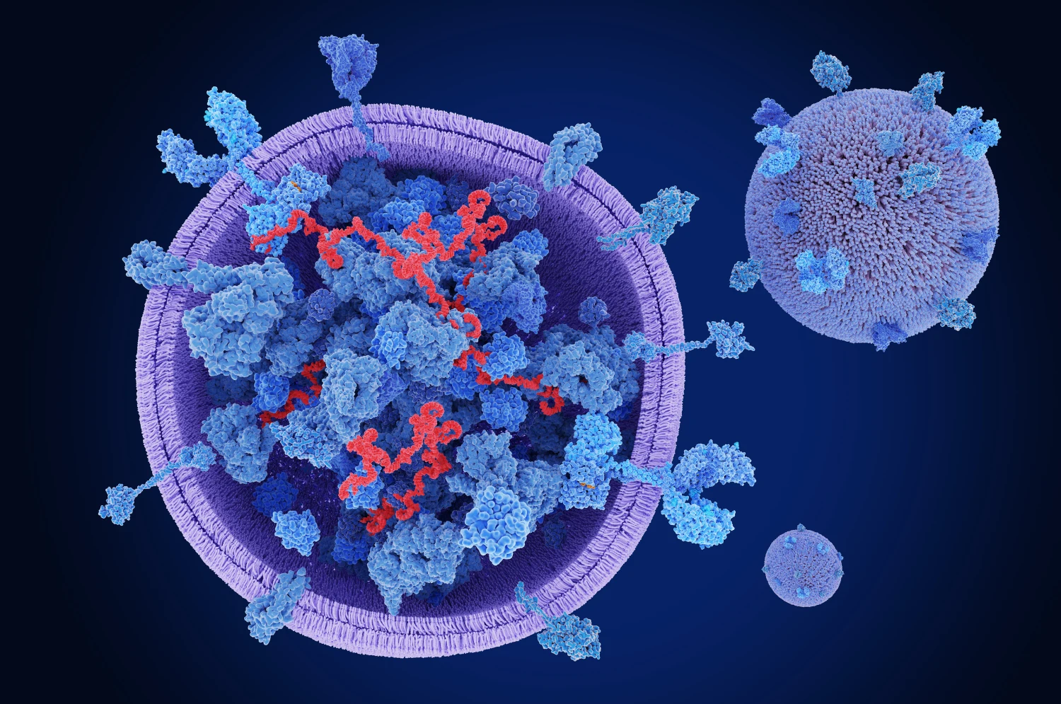 multi-omic exosome analysis