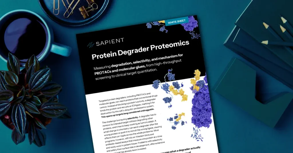 protein degrader proteomics